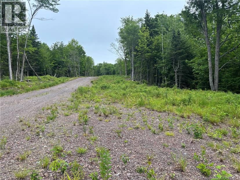 198 acres Damascus Road — photo 18 of 24