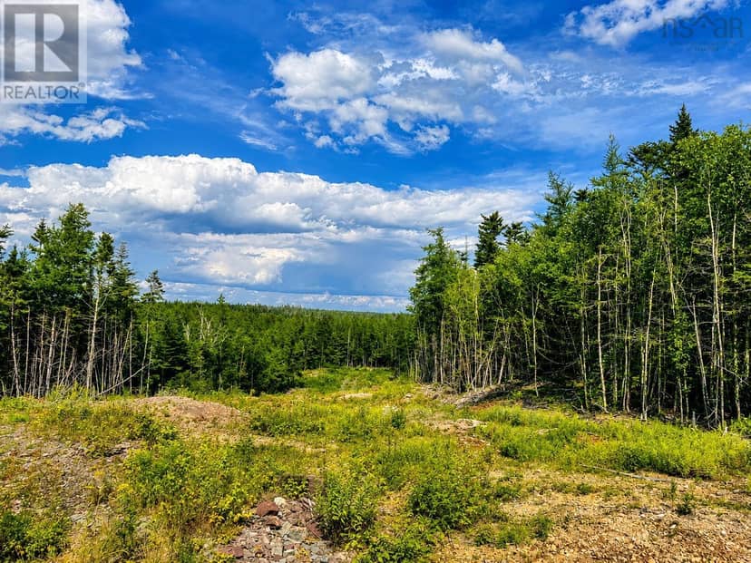 Lot 4 Grandique Road — photo 22 of 24