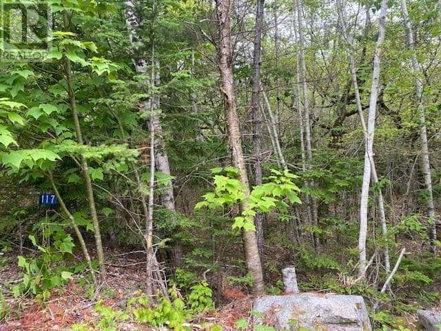 117 Shore Road, Walden, photo 4