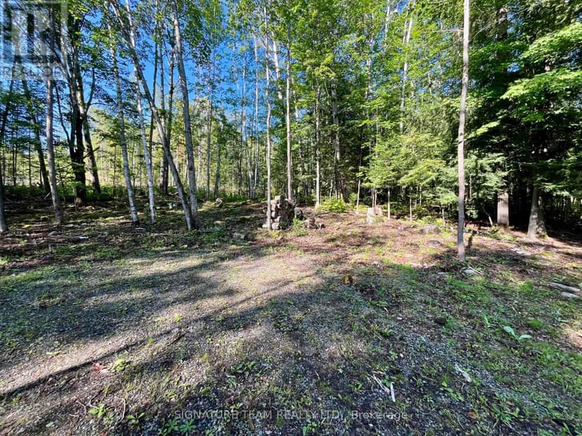 644 Mitchell Road, Madawaska Valley, photo 7