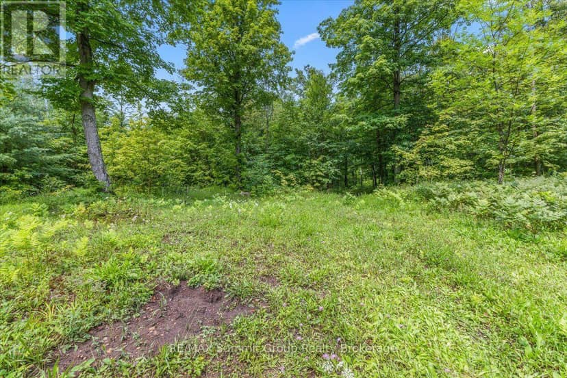 Pt Lt 4 Concession Road 8, West Grey, photo 8