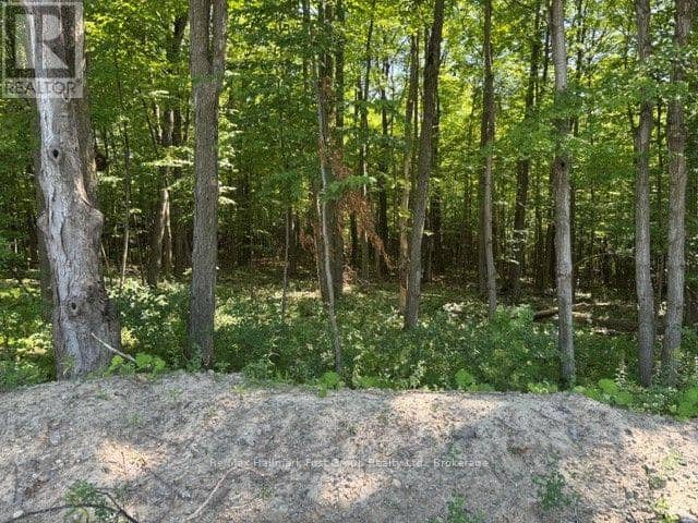 3530 Audley Road — photo 12 of 19