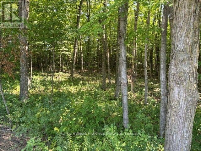 3530 Audley Road — photo 9 of 19