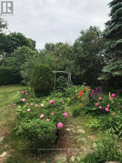 36 Craig Street — photo 32 of 39