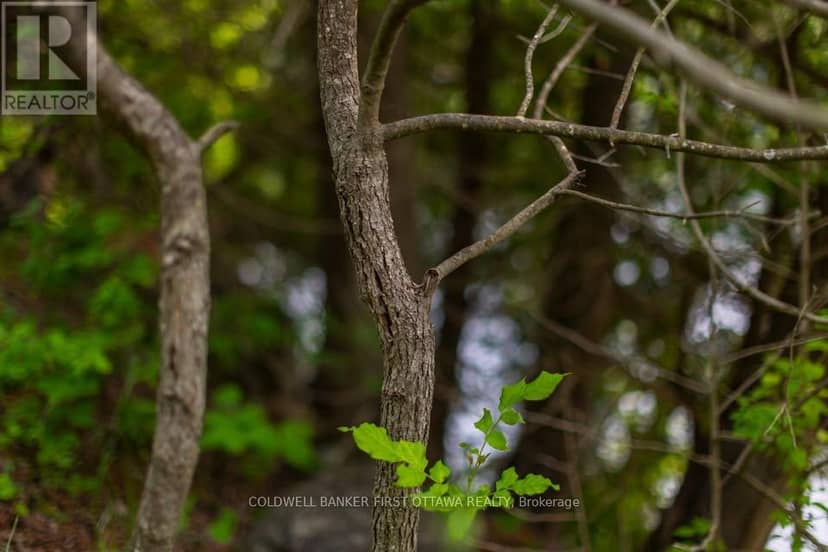 0 Stewart's Island — photo 5 of 8
