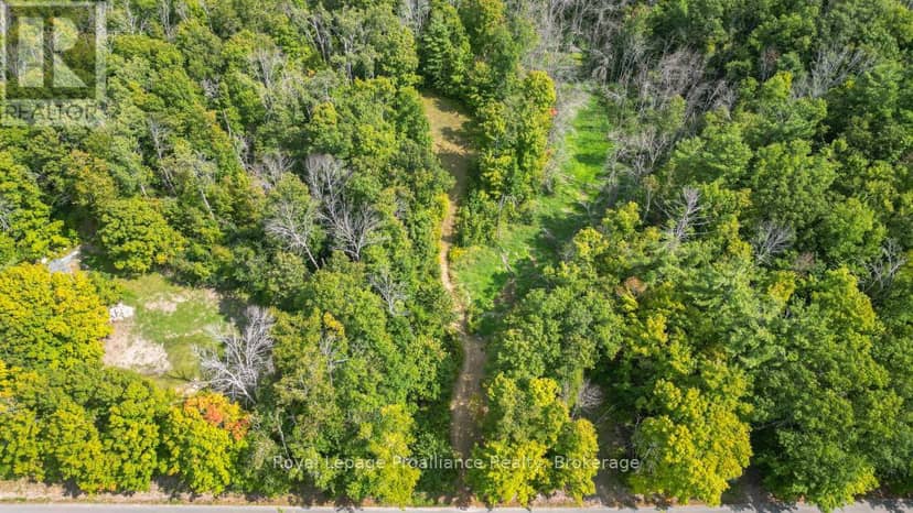 316 High Shore Road, Marmora and Lake, photo 7
