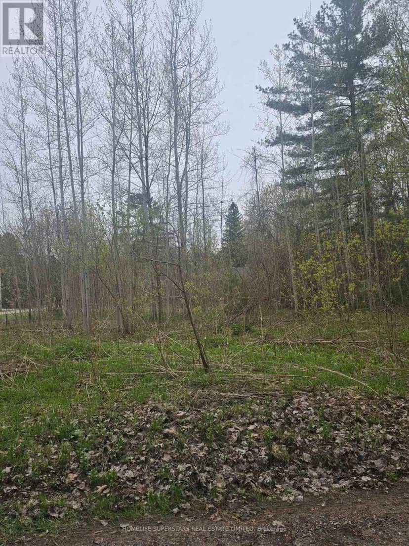 Lt 147 Pilon Road — photo 15 of 23