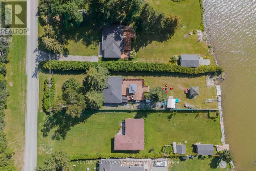 73 Loon Street, Kawartha Lakes, photo 7