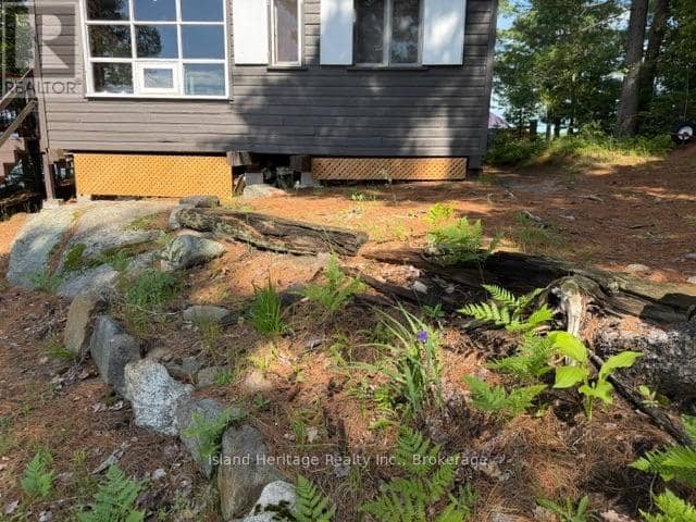 2 Trout Lake Island — photo 10 of 39