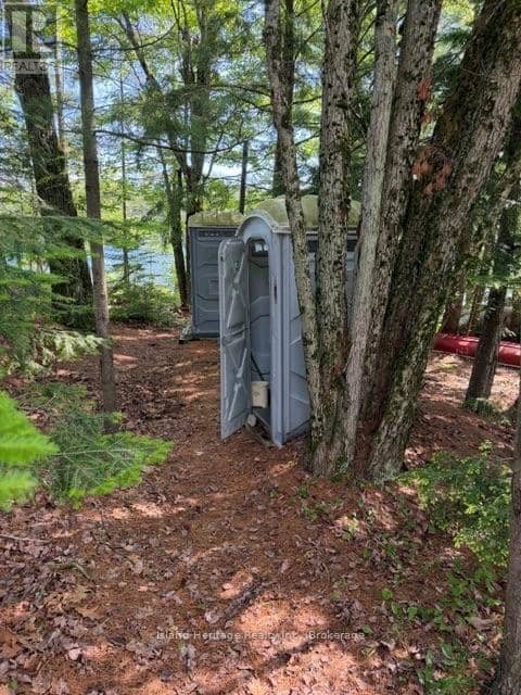 2 Trout Lake Island, McDougall, photo 7