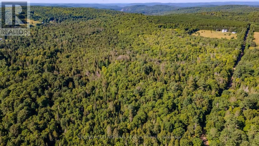 688 Prince Road E, Madawaska Valley, photo 2