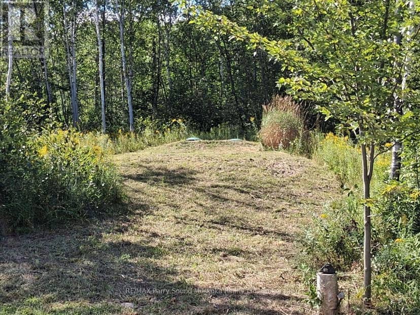 590 Clear Lake Road — photo 26 of 31