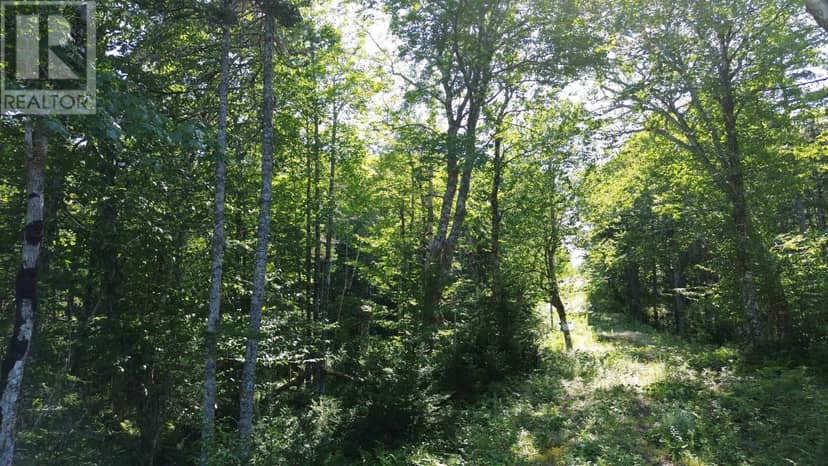 Condons Lake Drive — photo 1 of 8