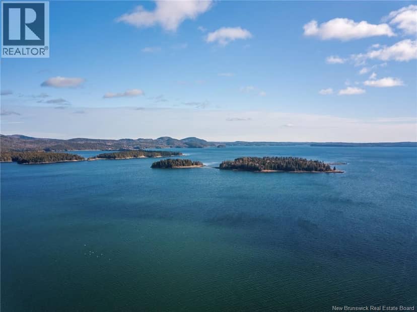 Hog Island — photo 9 of 9