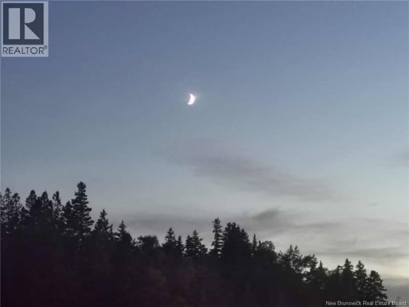 Hog Island, Bocabec, photo 8