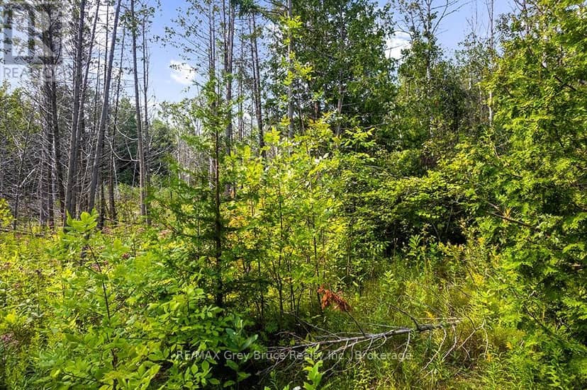 Part 2 Pt Lt 46 Highway 6 — photo 18 of 40