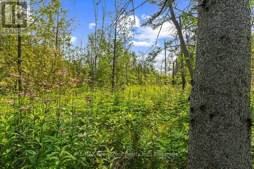 Part 2 Pt Lt 46 Highway 6 — photo 24 of 40