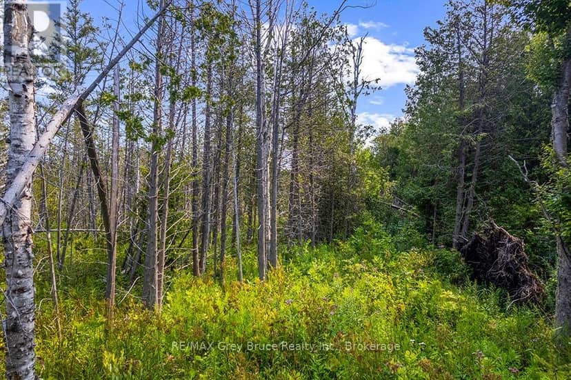 Part 2 Pt Lt 46 Highway 6 — photo 32 of 40