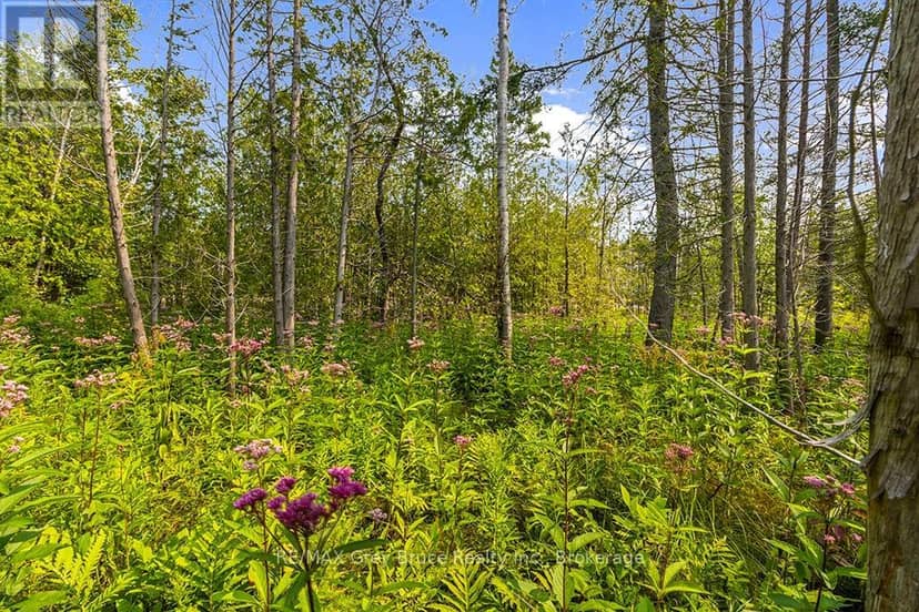 Part 2 Pt Lt 46 Highway 6, Northern Bruce Peninsula, photo 5