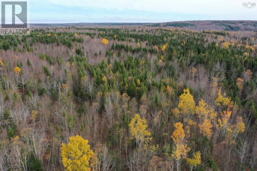 Lot 114 Acres+- MacMillan Road — photo 3 of 6