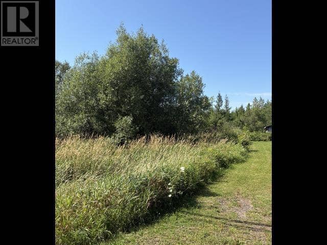 O'leary Road — photo 2 of 4