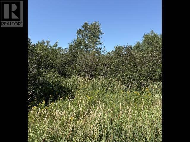 O'leary Road — photo 3 of 4