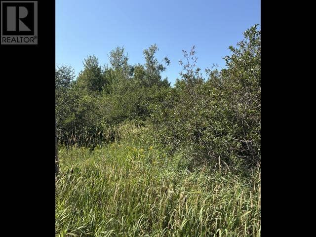 O'leary Road — photo 4 of 4