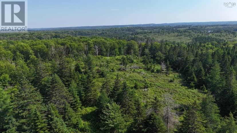139 Acres Shaws Road — photo 14 of 19