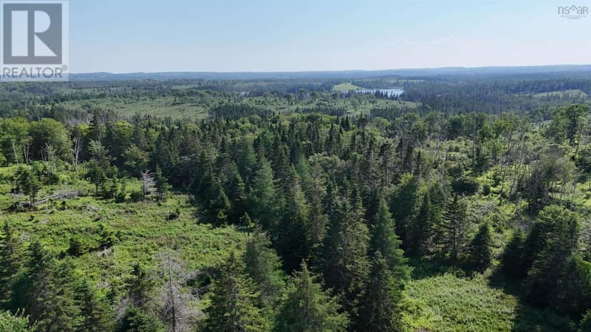 139 Acres Shaws Road — photo 15 of 19
