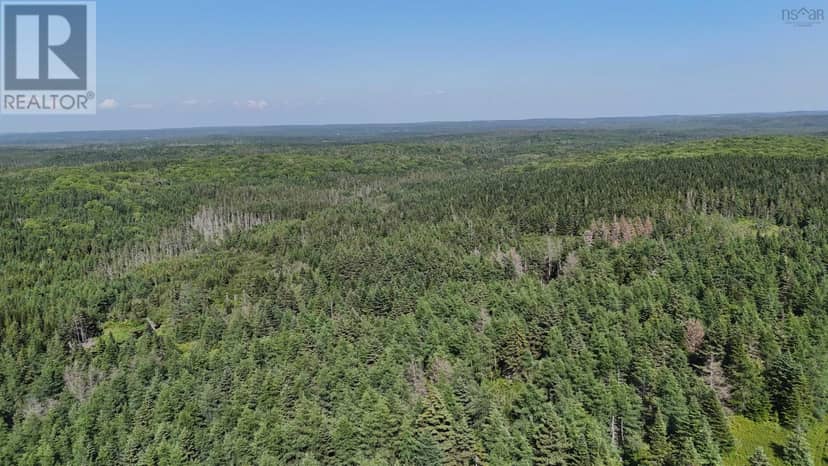 139 Acres Shaws Road — photo 17 of 19