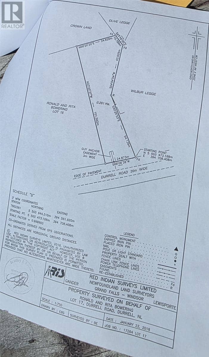17 Durrell Street — photo 8 of 8