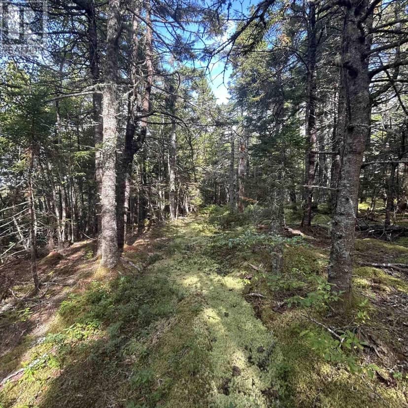 Lot 6-F-A Middle Road — photo 8 of 10