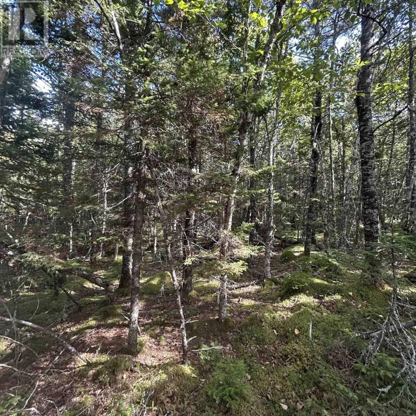 Lot 6-F-A Middle Road — photo 7 of 10