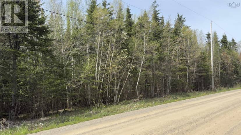 Lot 26-1 Beech Hill Road, Princeport, photo 7