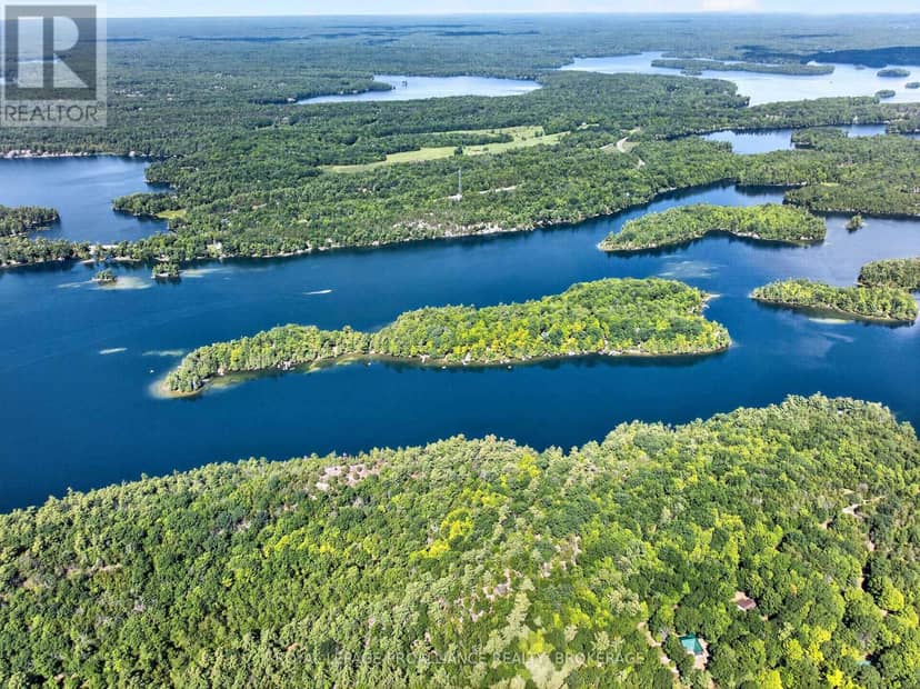 20 Porcupine Island — photo 2 of 40