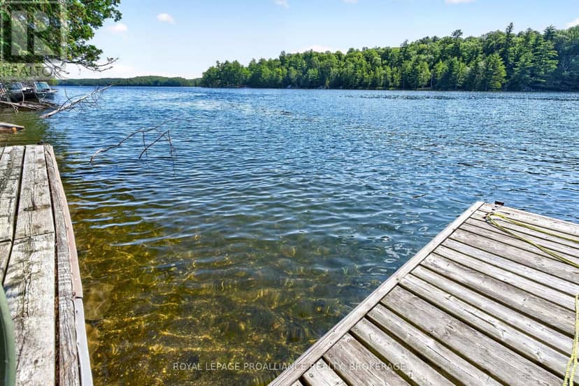 20 Porcupine Island — photo 38 of 40
