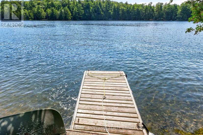 20 Porcupine Island — photo 5 of 40