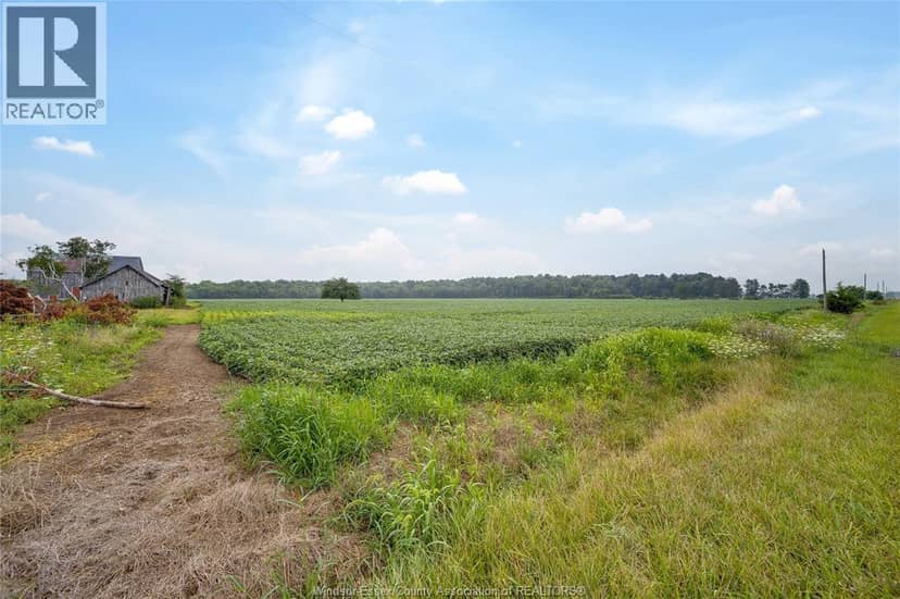 1094 Hale School Road, Dawn-Euphemia, photo 3