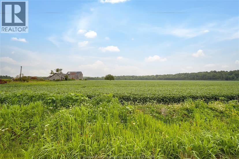 1094 Hale School Road, Dawn-Euphemia, photo 4