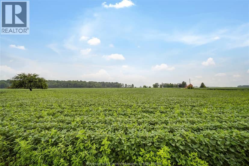 1094 Hale School Road, Dawn-Euphemia, photo 5