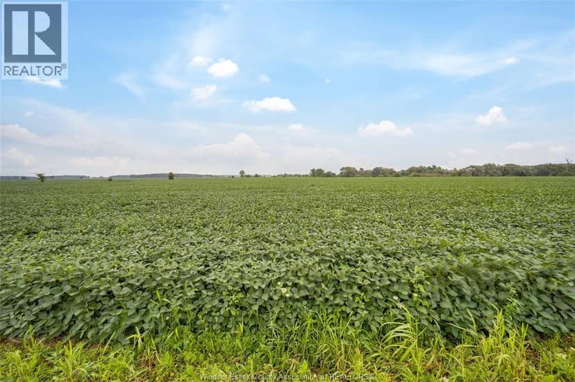 1094 Hale School Road, Dawn-Euphemia, photo 6
