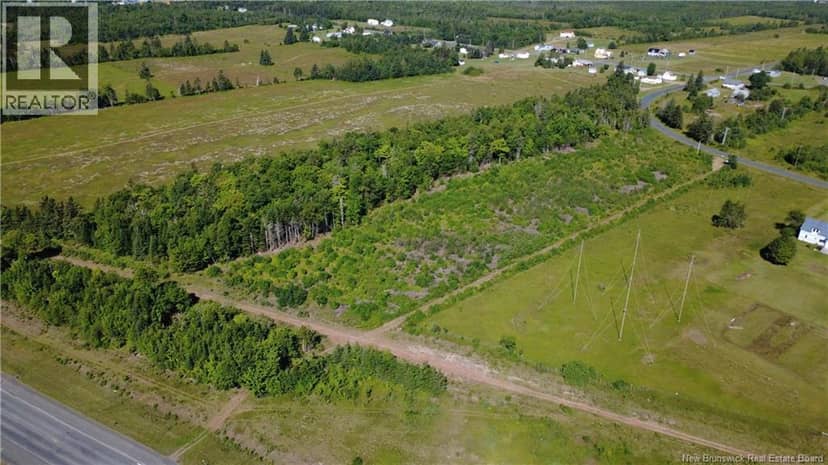 3.2 acres Chemin Grand Carey — photo 7 of 11