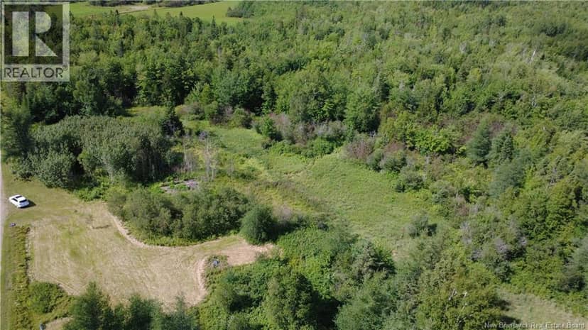 2.17 acres Route 355 — photo 14 of 17