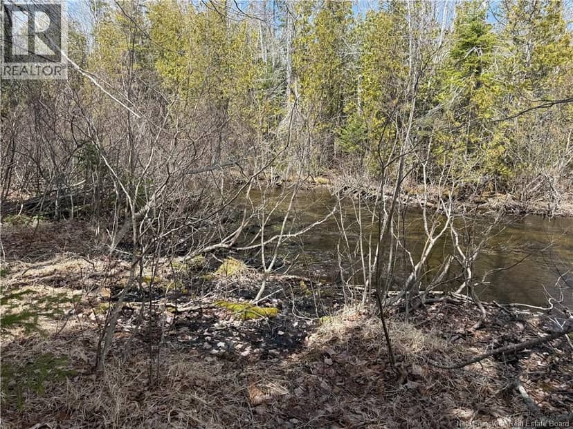2.17 acres Route 355 — photo 6 of 17