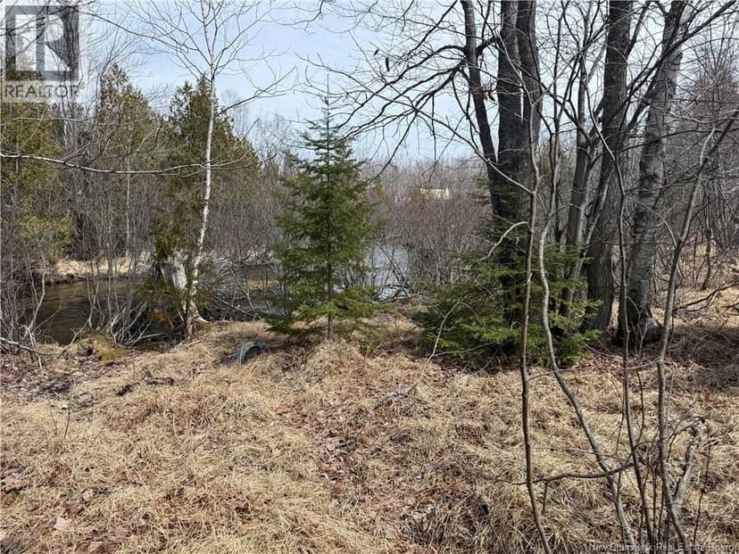 2.17 acres Route 355 — photo 7 of 17