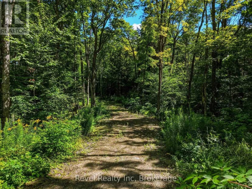 1054 Bird Lake Road, Bracebridge, photo 7