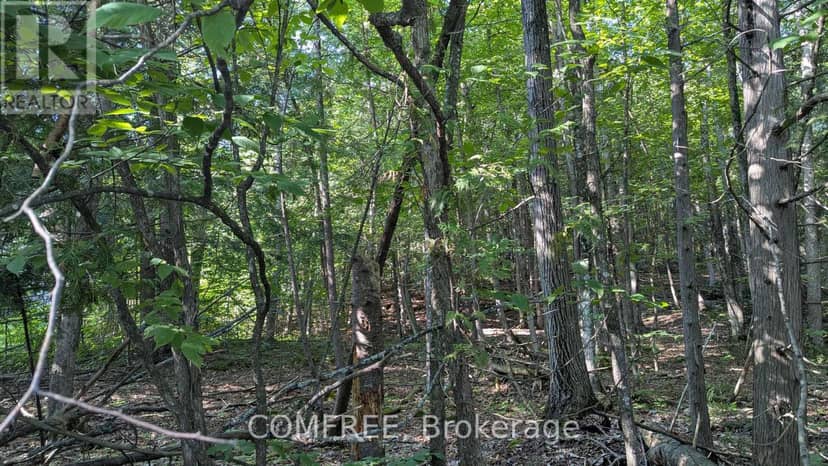 4853 Opeongo Road — photo 1 of 5