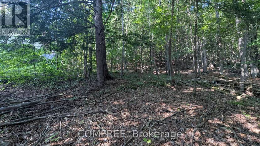 4853 Opeongo Road — photo 4 of 5