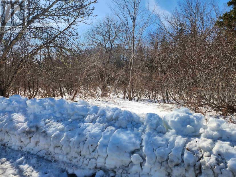 Lot B White Point 1 Road — photo 7 of 7