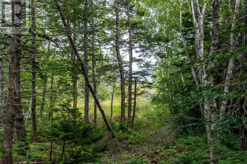 Lot 807 Hardwood Hills Road — photo 20 of 22